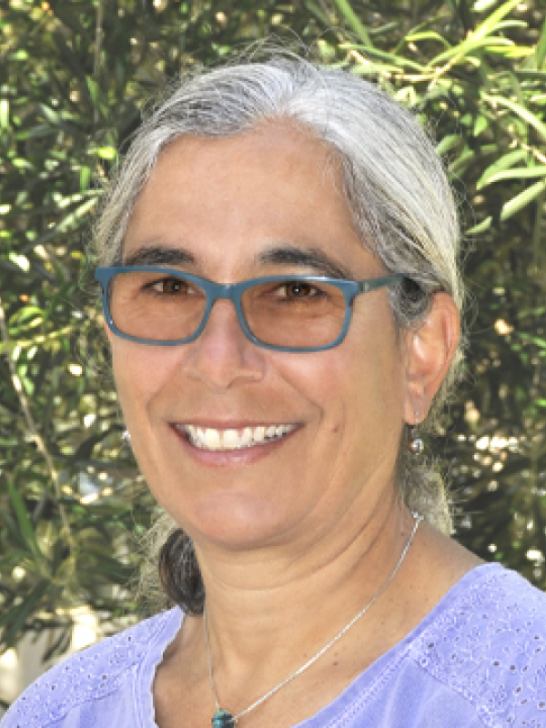 Julie Wartell